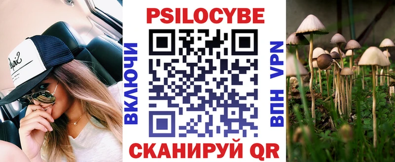 маркетплейс клад Кашин Галлюциногенные грибы Cubensis наркотики